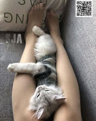 亚洲系列另类无码专区_完整版在线观看