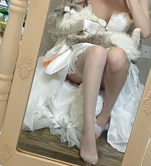 毛片视频网_在线观看免费版